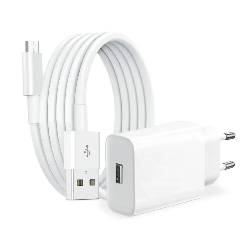 Fast Charger 10W 2000mAh - Compatible with All Models